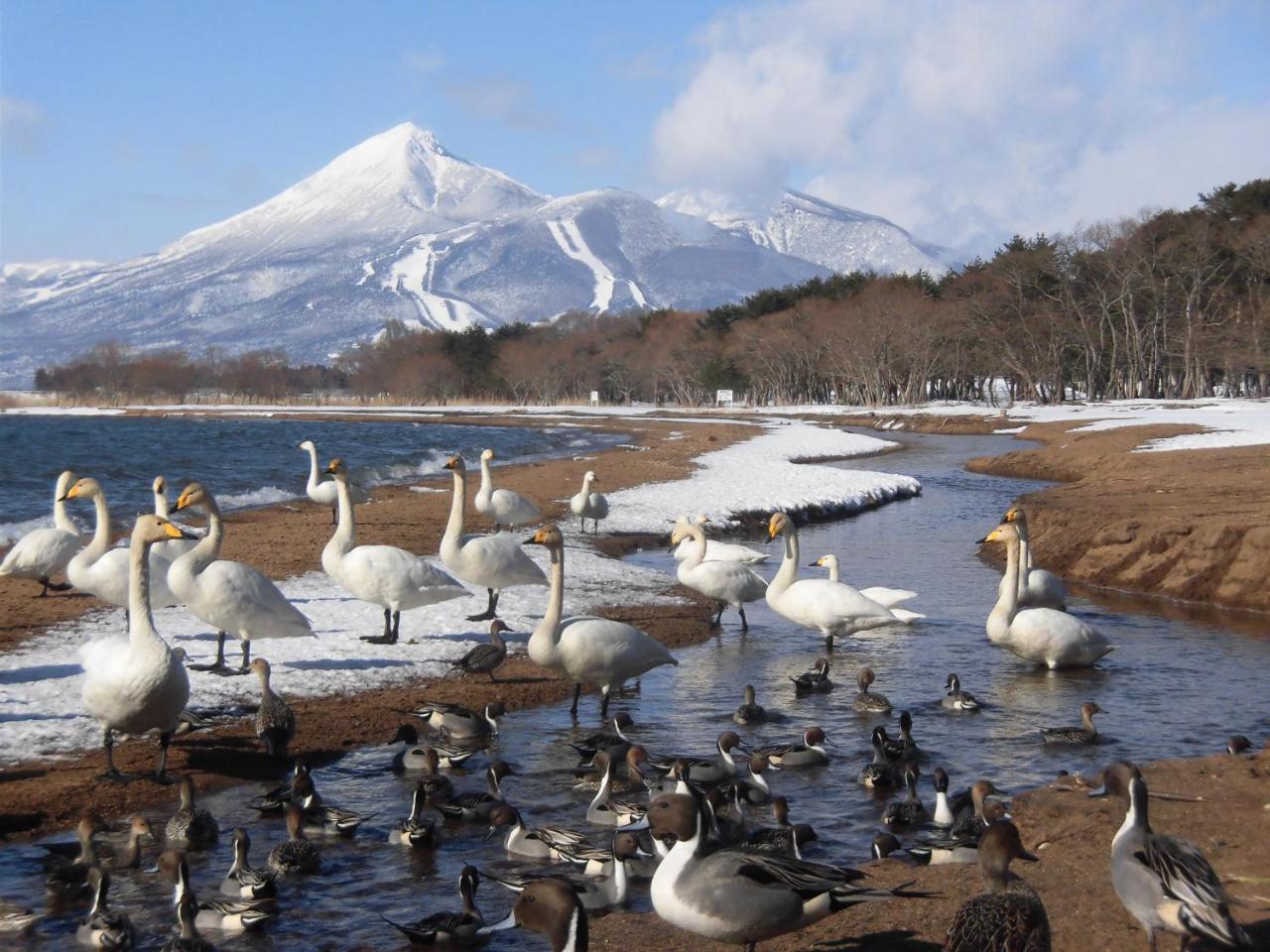 فندق Inawashiroفي  Lakeside Banko المظهر الخارجي الصورة